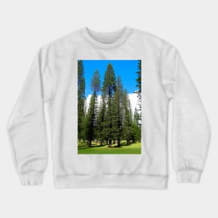 Lanai CIty Cook Island Pines Study 2 Crewneck Sweatshirt